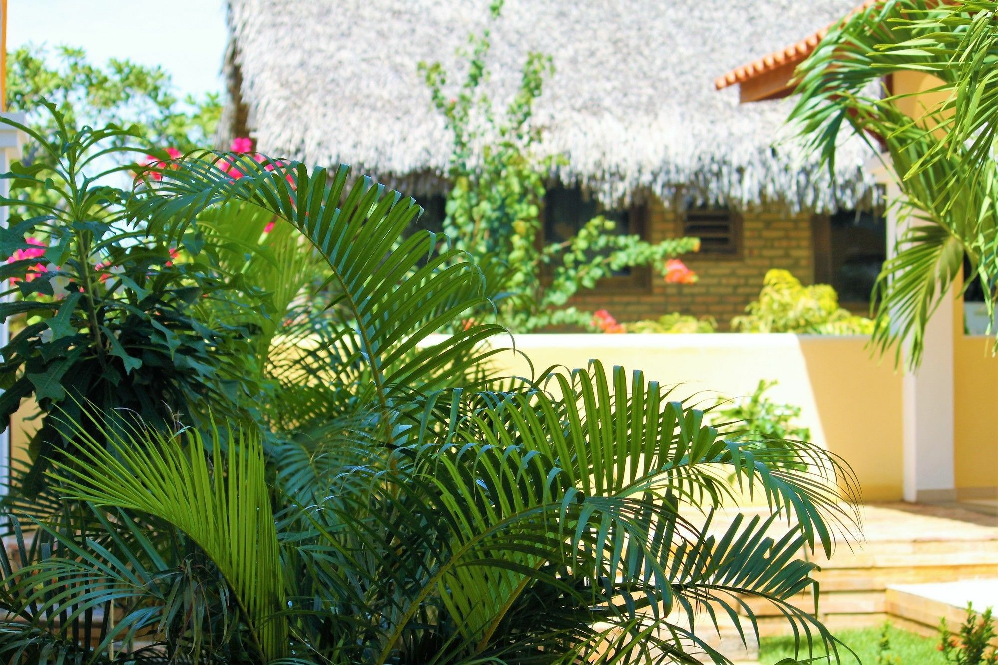Hotel Villa Beija Flor จีโจกา จี เจรีกวากวารา ภายนอก รูปภาพ