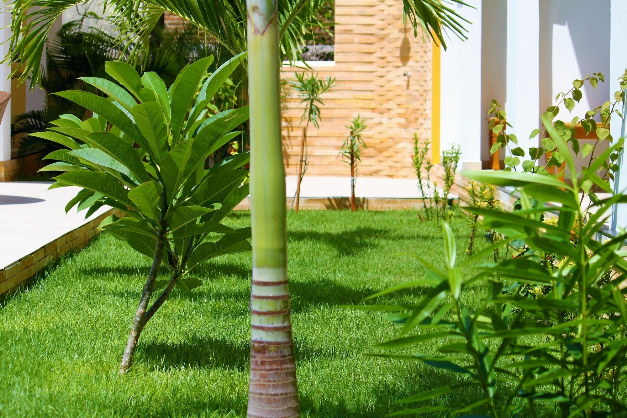 Hotel Villa Beija Flor จีโจกา จี เจรีกวากวารา ภายนอก รูปภาพ